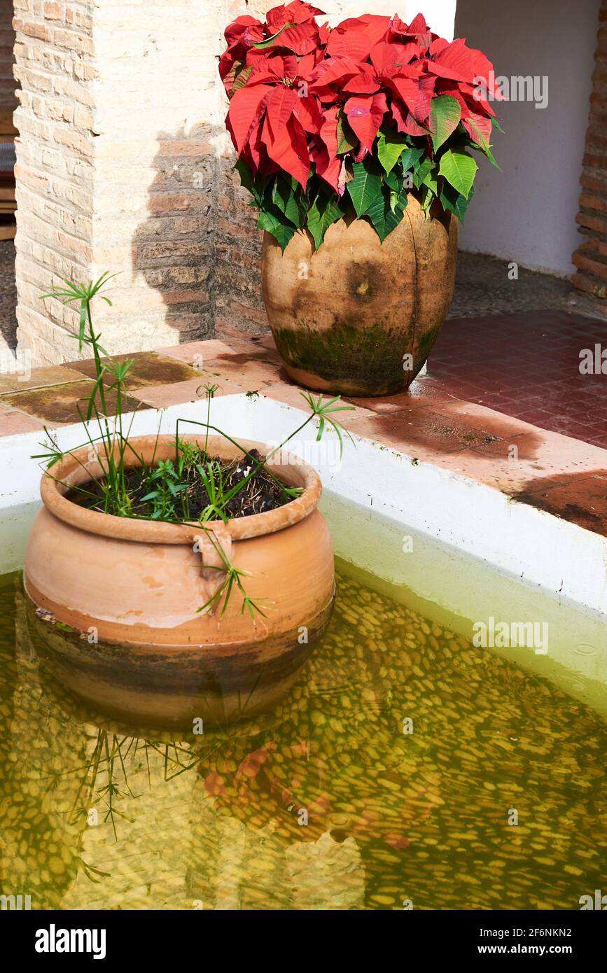 Cordoba, Andalusia, Spain December 28 2016, Backyard and blue flower pots in the wall Stock Photo