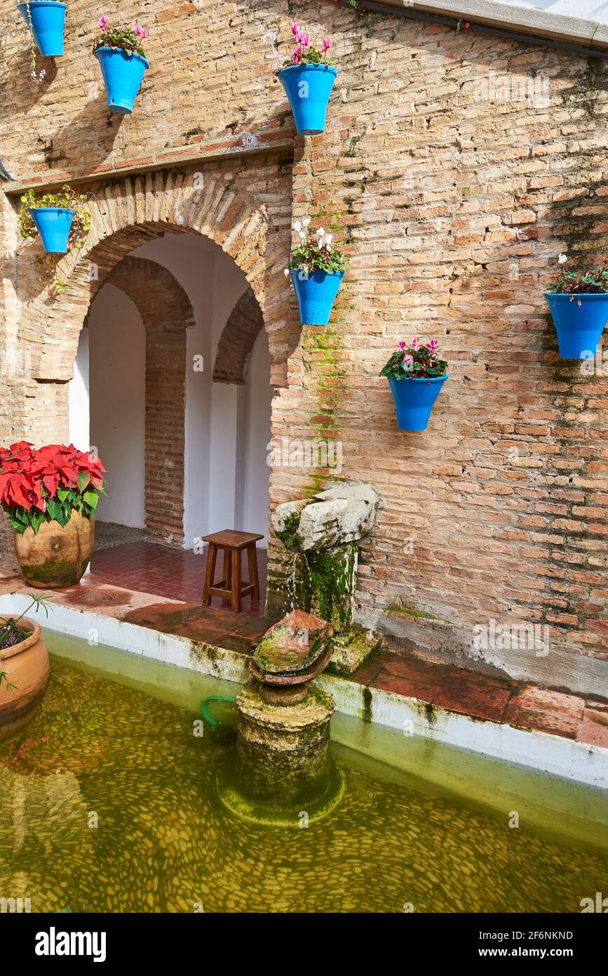 Cordoba, Andalusia, Spain December 28 2016, Backyard and blue flower pots in the wall Stock Photo