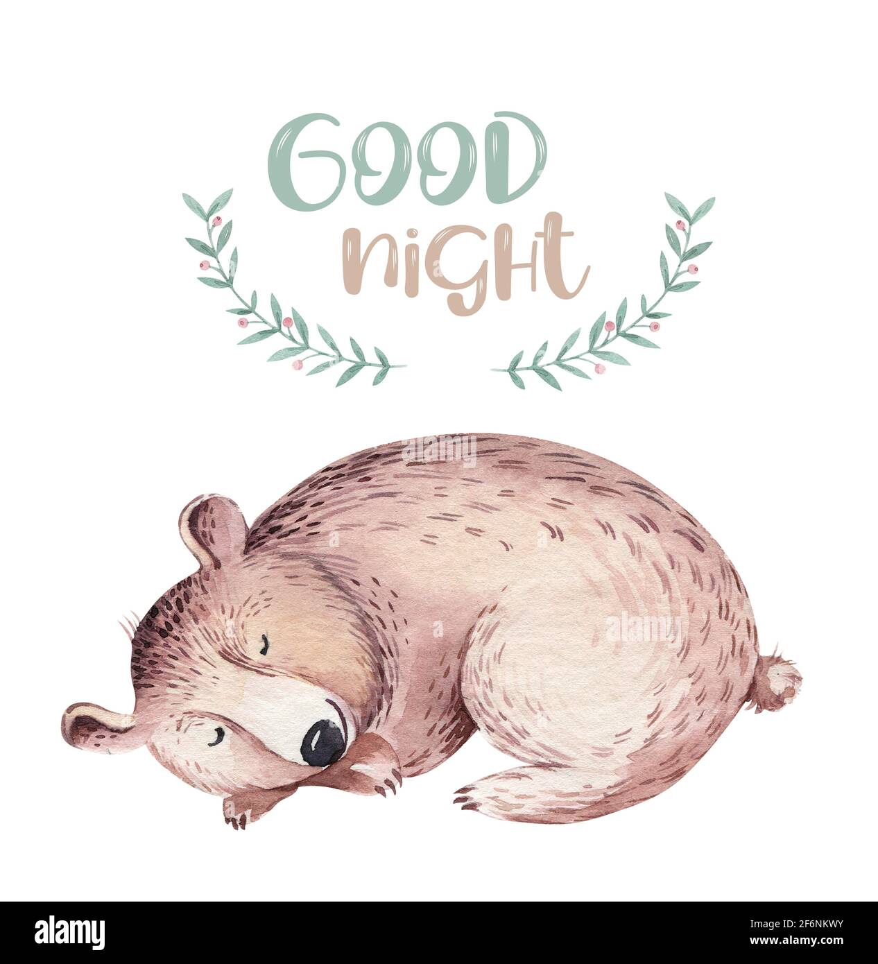 Sleeping badger hi-res stock photography and images - Alamy Sleeping badger hi-res stock photography and images - Alamy