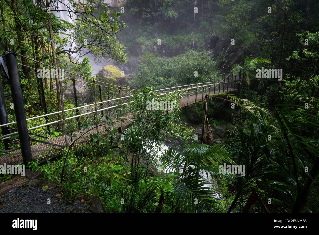 A suspension bridge in the rain forest of the Springbrook National Park Stock Photo