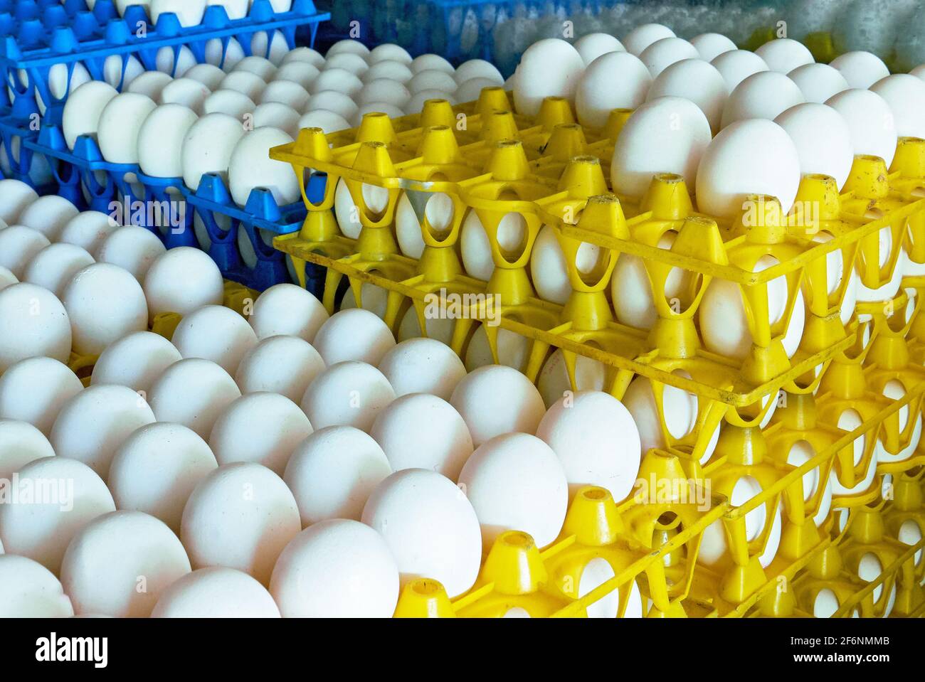 Close-up of colorful yellow and blue plastic trays filled with white chicken eggs, for sale at a market stall in the Philippines, Asia Stock Photo