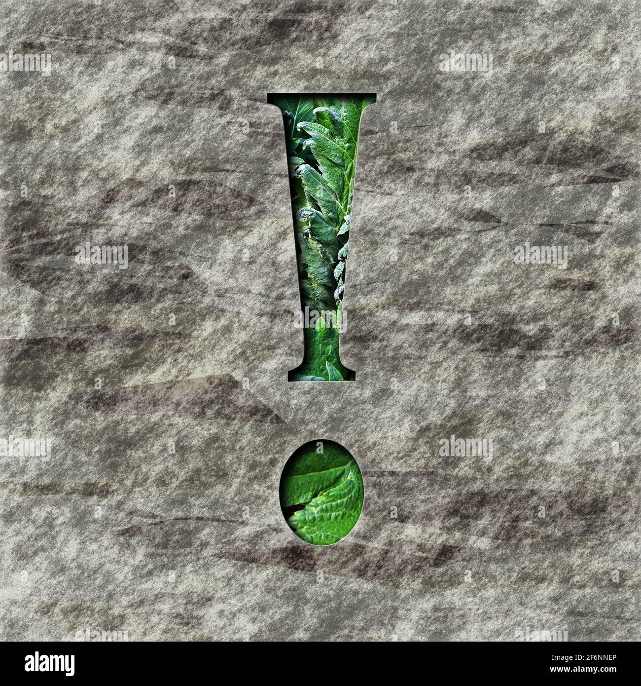 square graphic:  capital letter with a question mark, a deepend relief on stone filled with plants Stock Photo