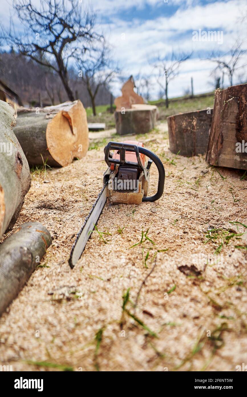 Chainsaw resting on forest hi-res stock photography and images - Alamy