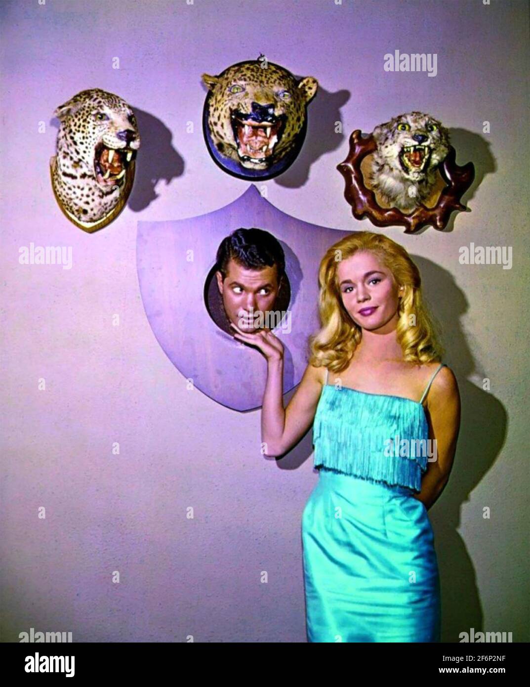 THE MANY LOVES OF DOBIE GILLIS CBS TV sitcom 1959-1963 with Tuesday Weld and Dwayne Hickman. Stock Photo