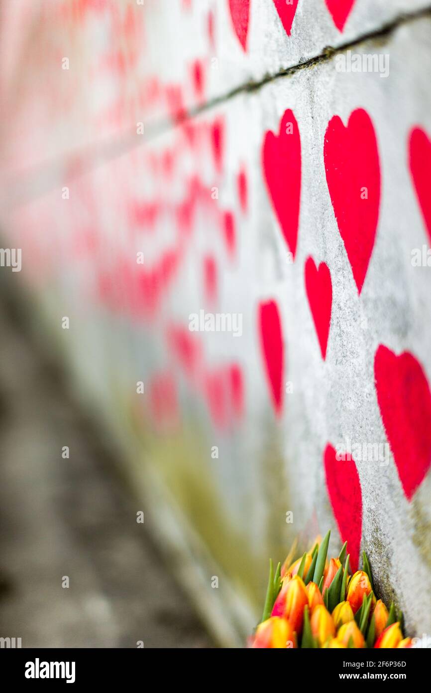 The National Covid Memorial Wall on the South Bank in London. Stock Photo