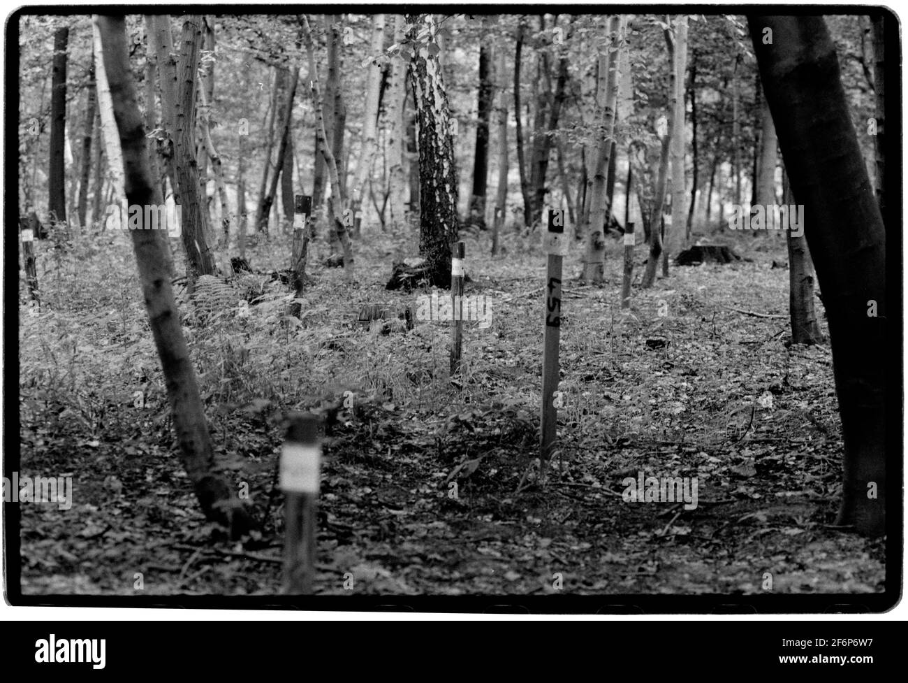Buchenwald Concentration Camp Weimar in Thuringia Germany 1994 In late 1989 after the fall of ‘The Wall’ graves revealled the remains of former Nazis imprissoned in Soviet Special Camp Number 2. Between 1990 and 1994 these graves were marked by metal steles and when named a cross was erected. Between 1945 and February 10, 1950, the camp was administered by the Soviet Union and served as Special Camp No. 2 of the NKVD.[1] It was part of a 'special camps' network operating since 1945, formally integrated into the Gulag in 1948 Stock Photo
