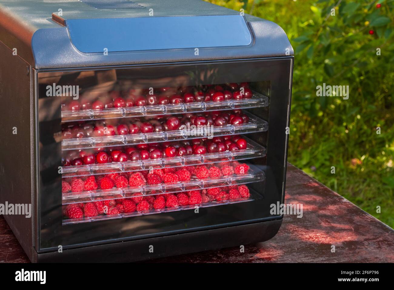Drying Raspberries Inoven Fresh cherries and raspberries ready for dehydration in an electric ...