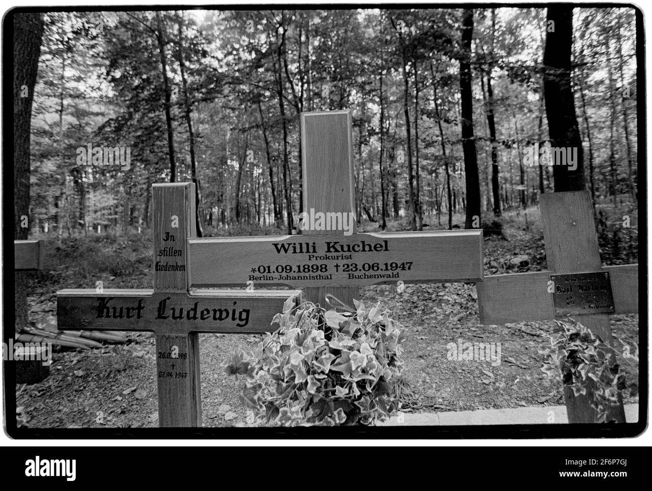Buchenwald Concentration Camp Weimar in Thuringia Germany 1994 In late 1989 after the fall of ‘The Wall’ graves revealled the remains of former Nazis imprissoned in Soviet Special Camp Number 2. Between 1990 and 1994 these graves were marked by metal steles and when named a cross was erected. Between 1945 and February 10, 1950, the camp was administered by the Soviet Union and served as Special Camp No. 2 of the NKVD.[1] It was part of a 'special camps' network operating since 1945, formally integrated into the Gulag in 1948 Stock Photo