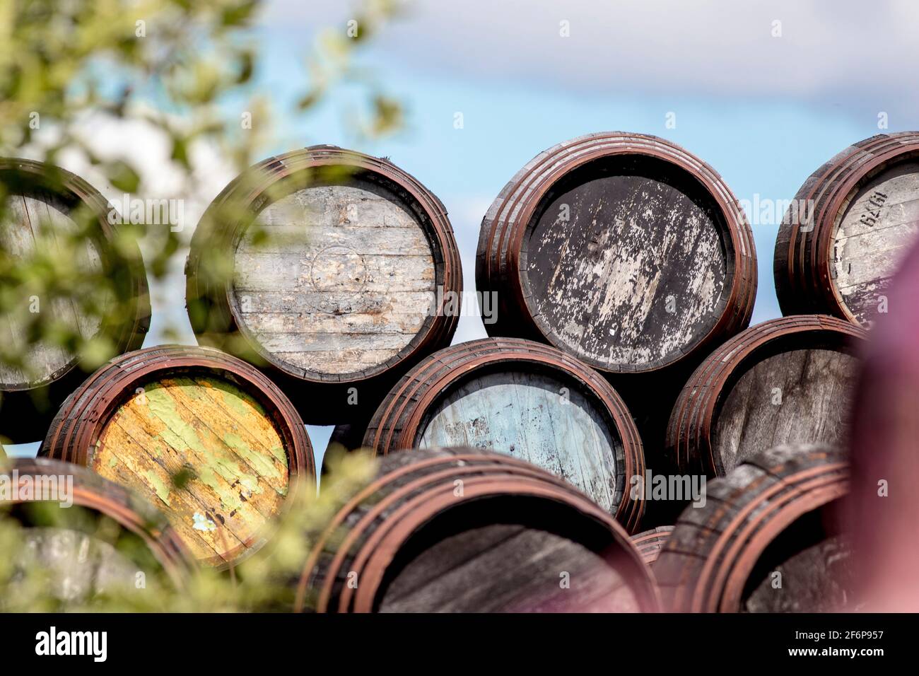 Whisky barrels, Speyside cooperage, Craigellachie Stock Photo Alamy