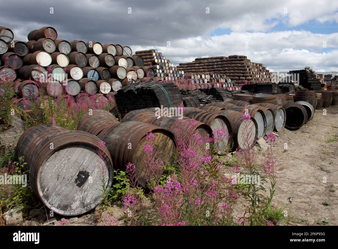 Whisky barrels, Speyside cooperage, Craigellachie Stock Photo Alamy