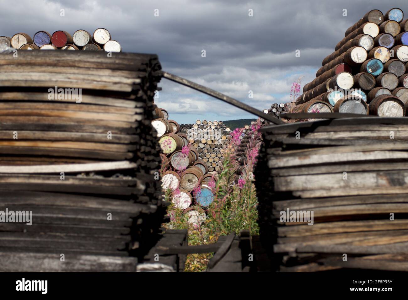 Whisky barrels, Speyside cooperage, Craigellachie Stock Photo Alamy