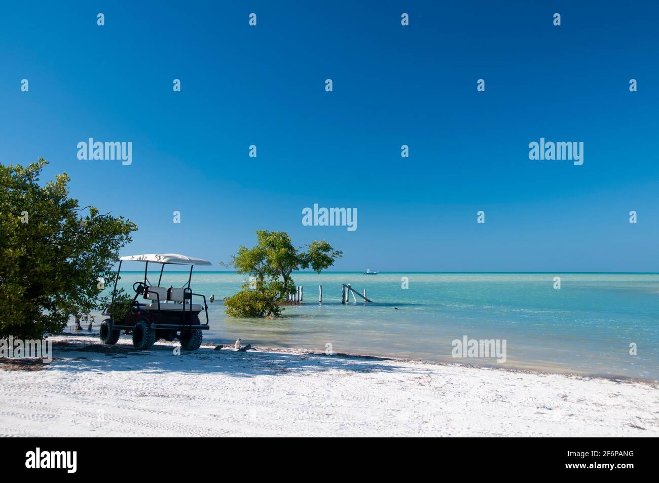 A Golf car in a deserted tropical white sandy beach near a small tree in Holbox Mexico Island. In the background are the blue sky and the Caribbean ocean. Stock Photo