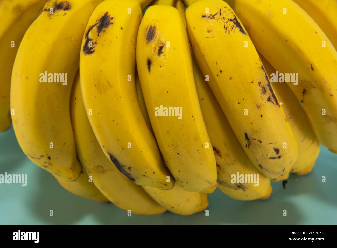 Bunch of ripe bananas ready for consumption on blue background. Food