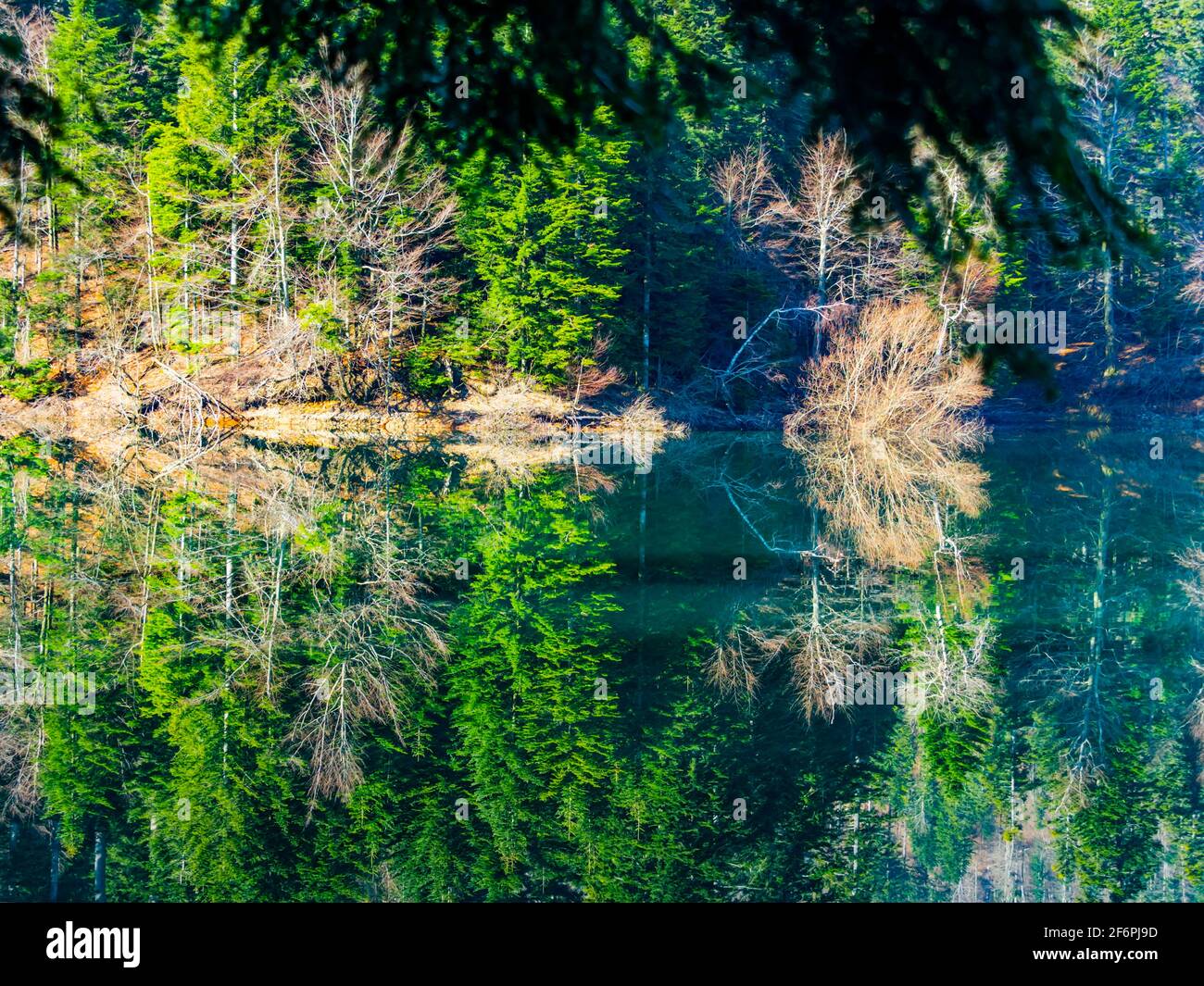 Zen zen splendid gorgeous vibrant colors idyllic remarkable appealing Lokve lake in Croatia Europe Stock Photo