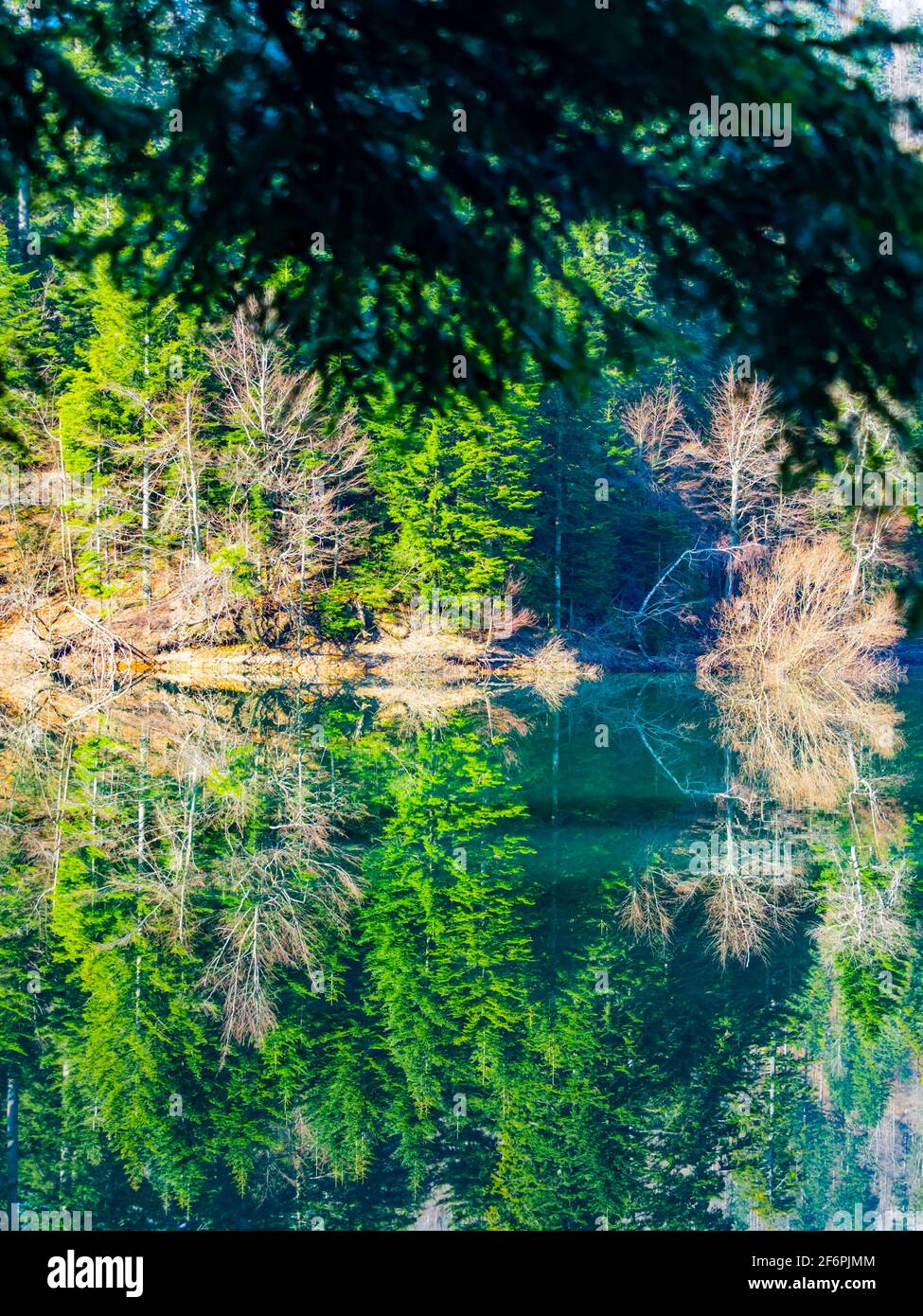 Zen zen splendid gorgeous vibrant colors idyllic remarkable appealing Lokve lake in Croatia Europe Stock Photo