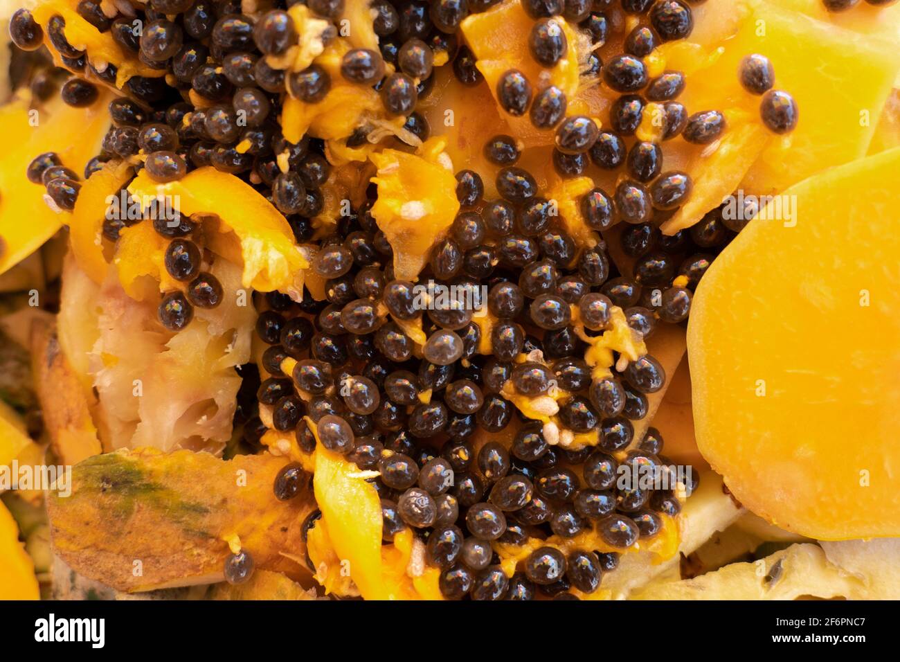 Papaya for sale hires stock photography and images Alamy