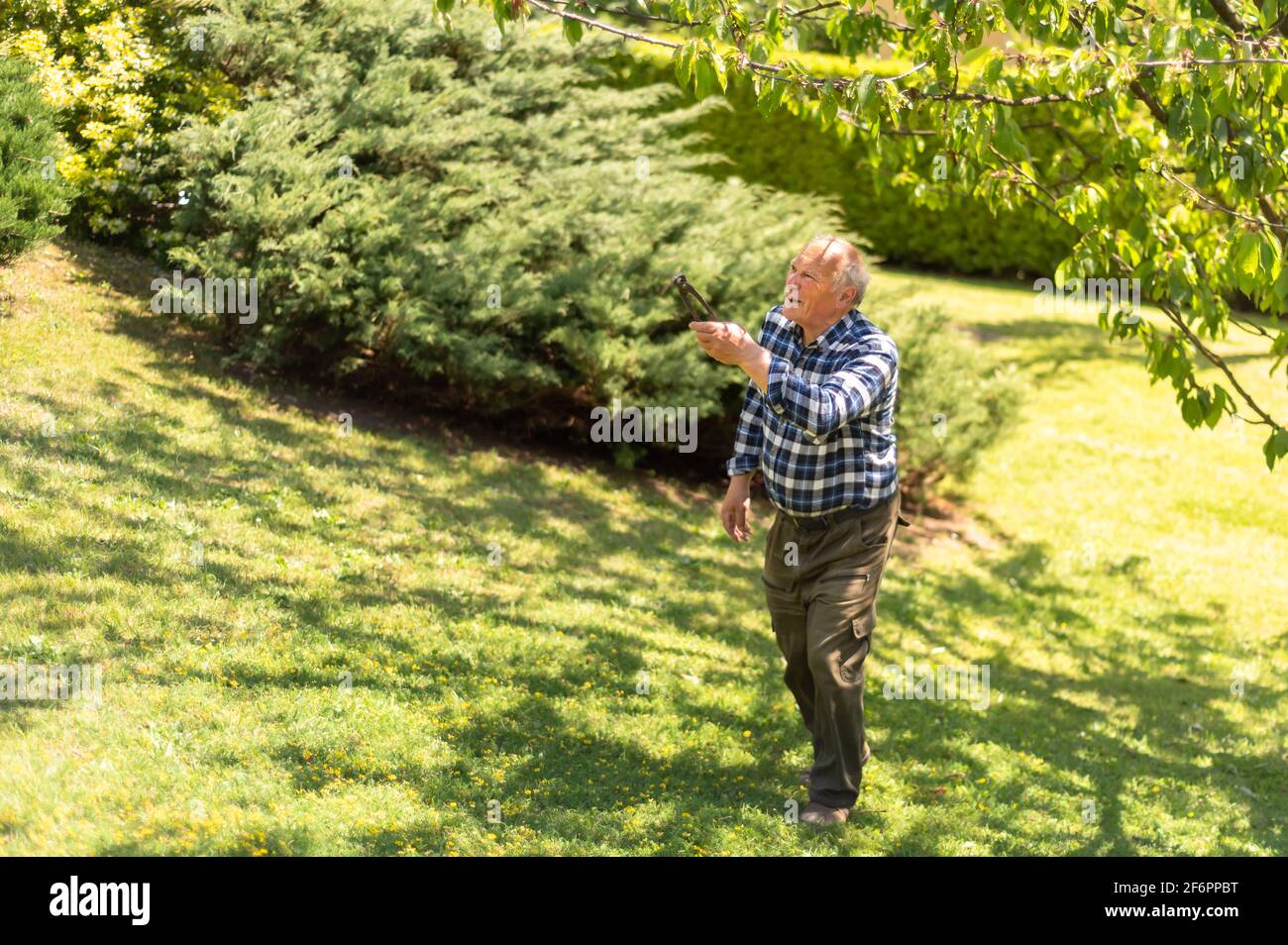 Portrait of Senior man in the garden in springtime. Stock Photo