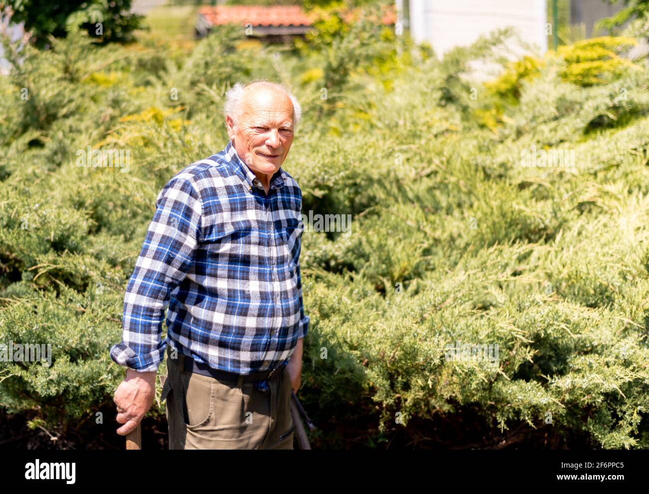 Portrait handsome senior man gardening hi-res stock photography and ...