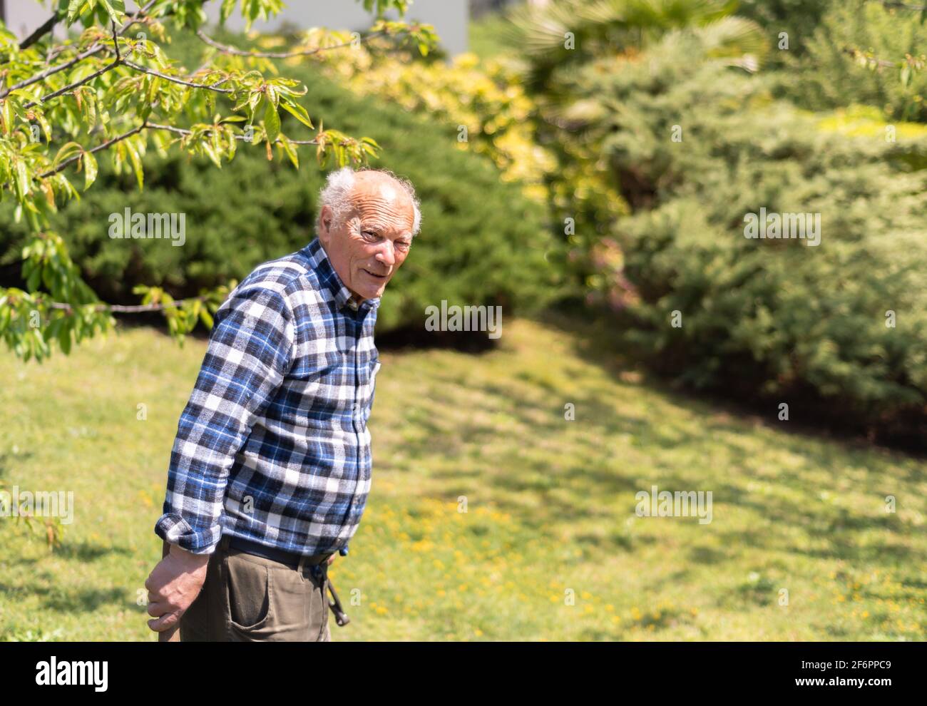 Portrait of Senior man in the garden in springtime. Stock Photo