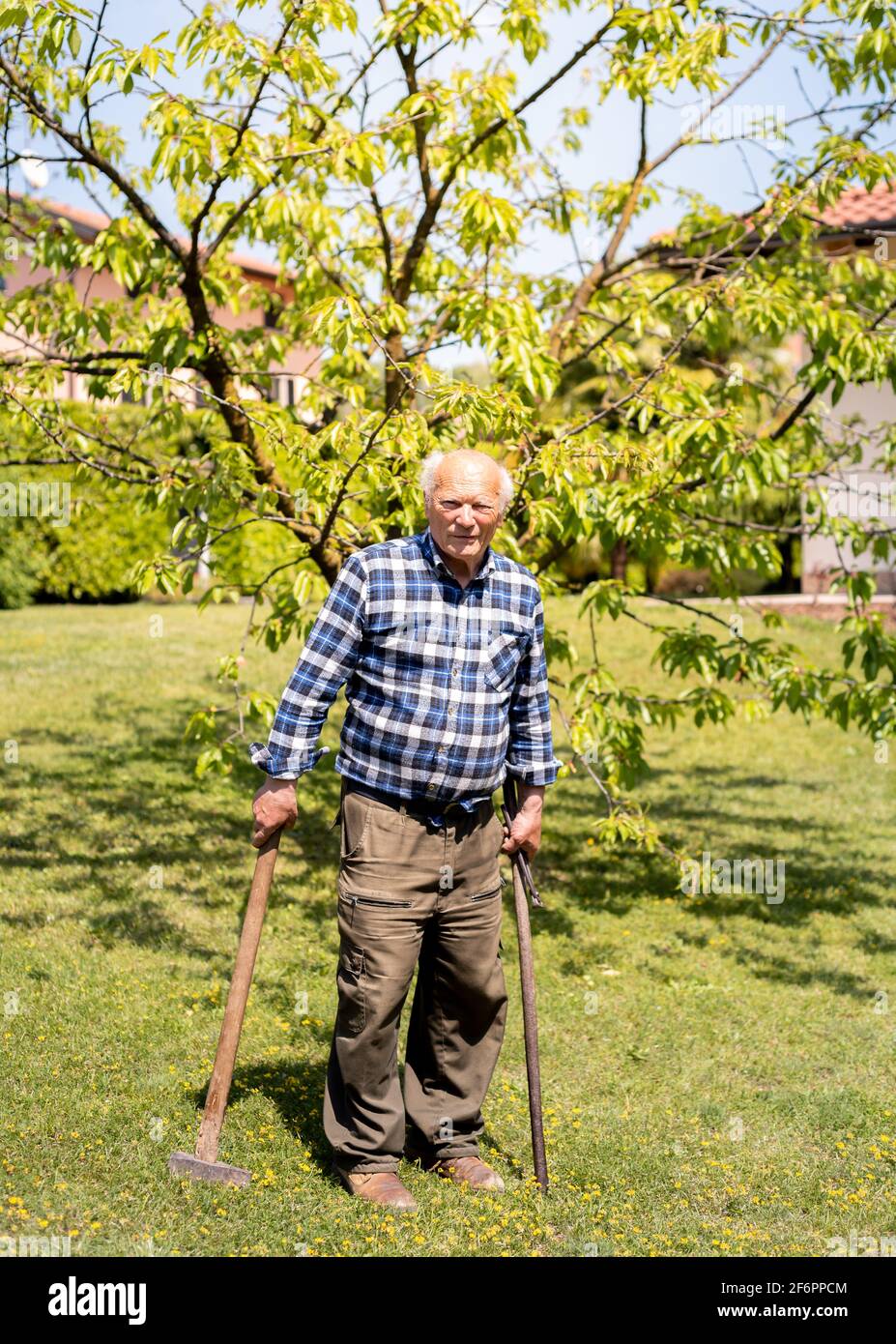 Portrait of Senior man in the garden in springtime. Stock Photo