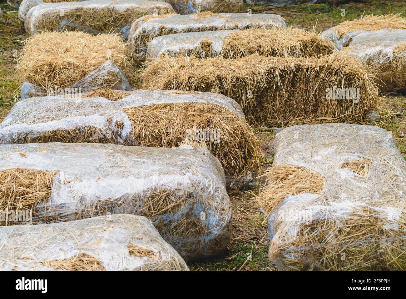 Seats and tables made from straw bales for event and party laid on lawn