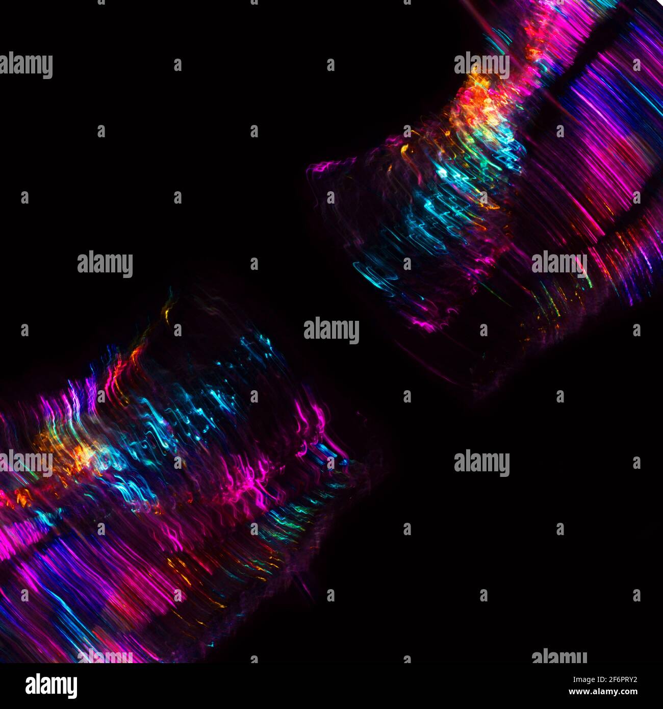 thin multicolored light lines curved in an arbitrary shape, on a black ...
