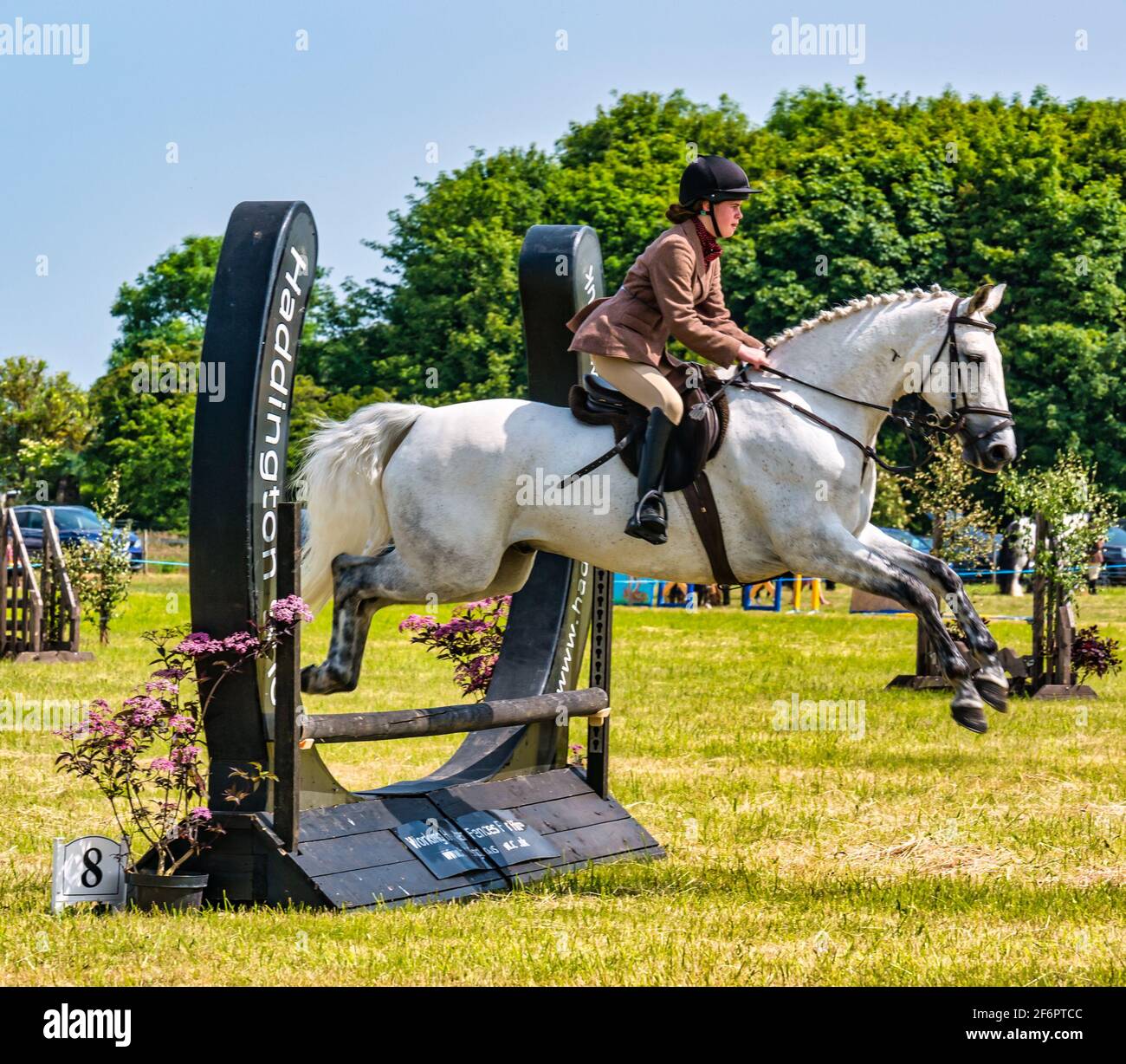 Woman riding horse jumping through horseshoe at Haddington Agricultural