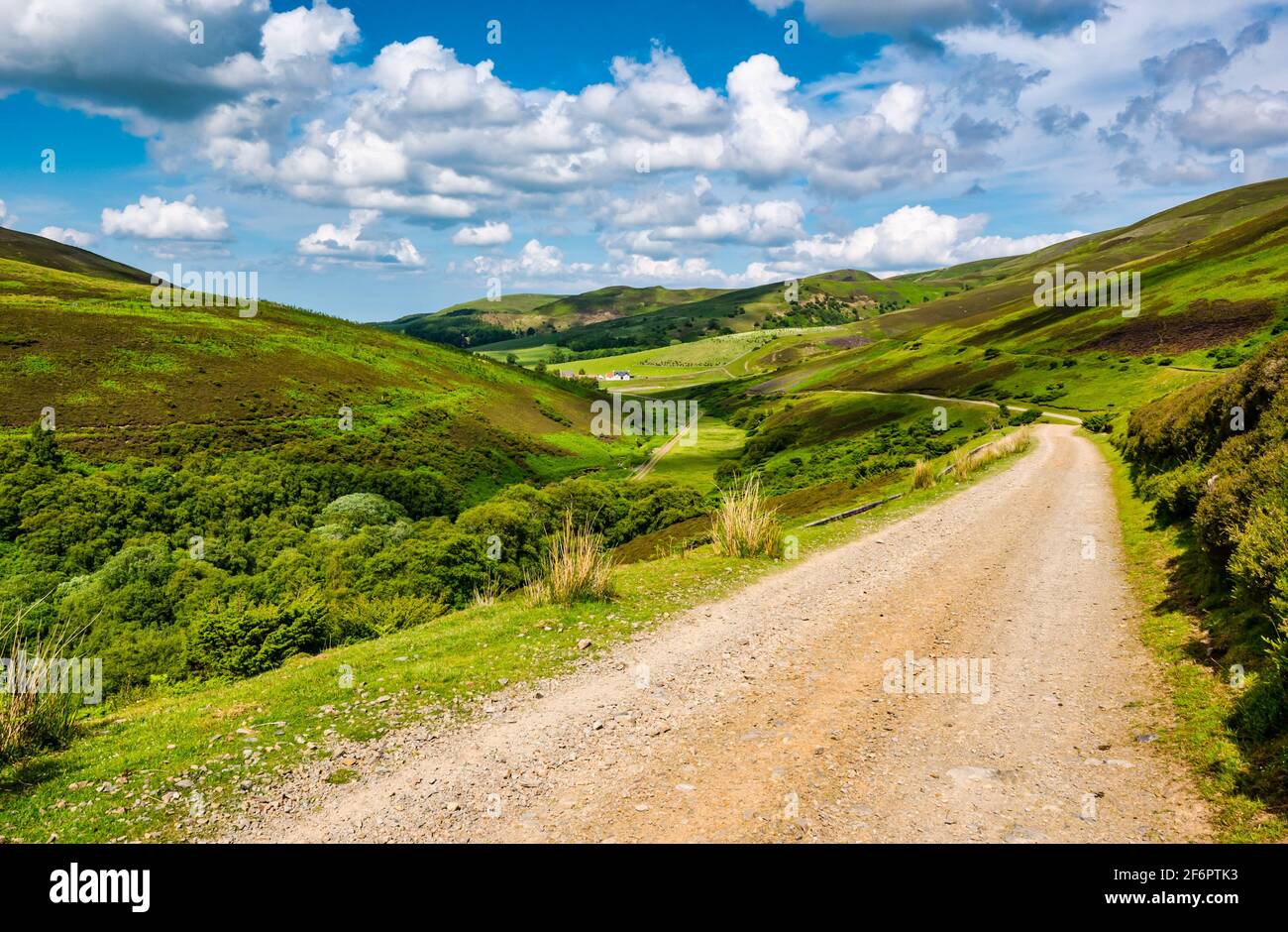 Dirt track leading down valley, Lammermuir Hills, East Lothian, Scotland, UK Stock Photo