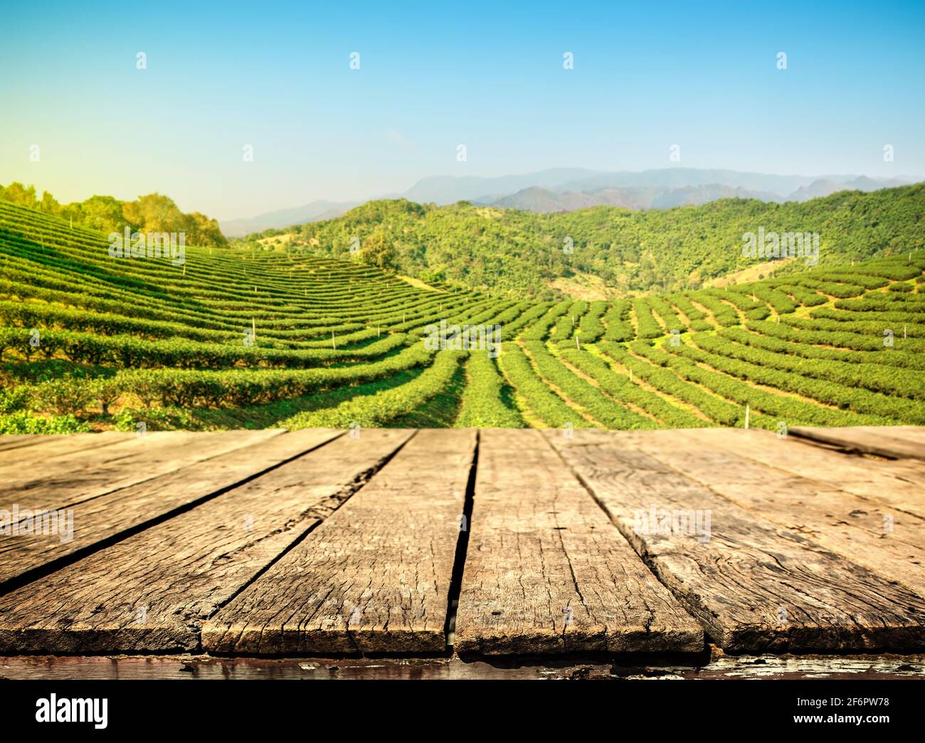 Empty wooden old table and blur tea plantation background Stock Photo