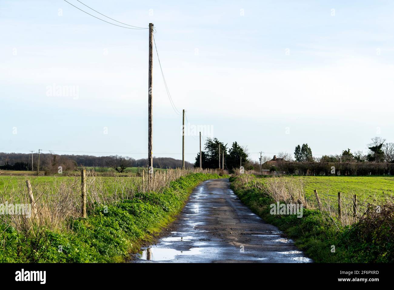 View along narrow country lane, road, between fields, after rainfall ...
