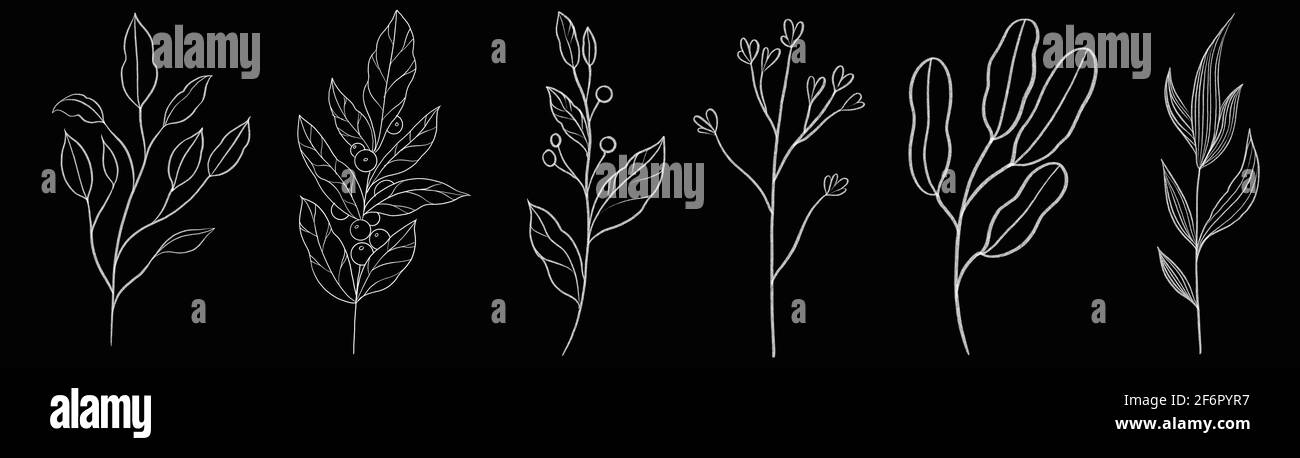Branches line art drawing set. Hand-drawn floral elements Stock Photo ...