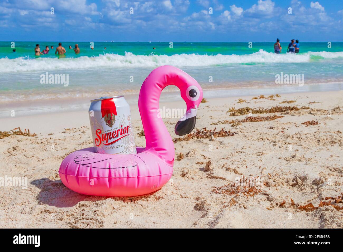 Pink flamingo beer holder with Superior beer on the caribbean beach