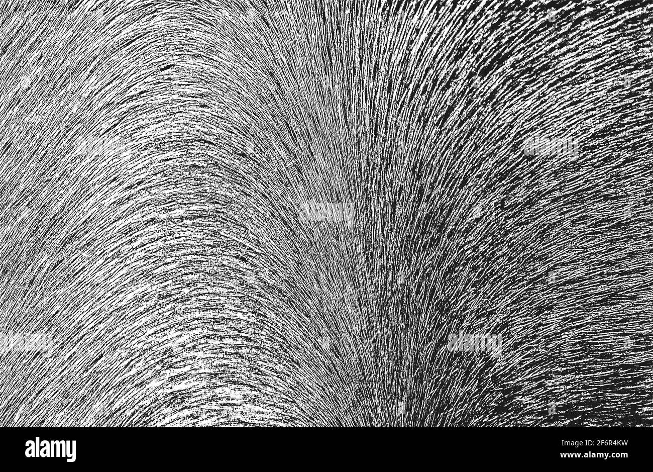 Distressed overlay texture of natural fur, grunge vector background ...