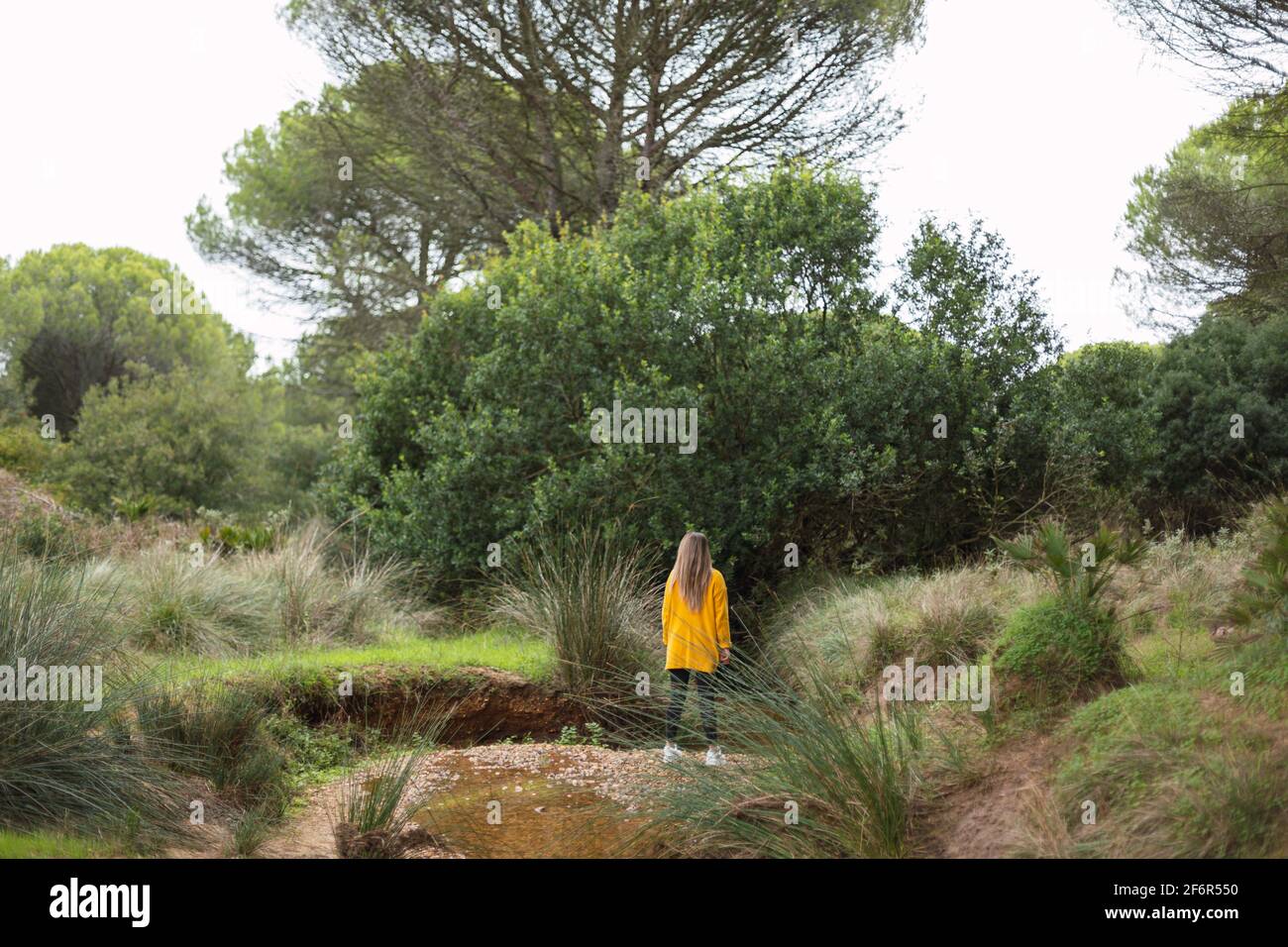 Mature woman alone walking park hi-res stock photography and images - Alamy