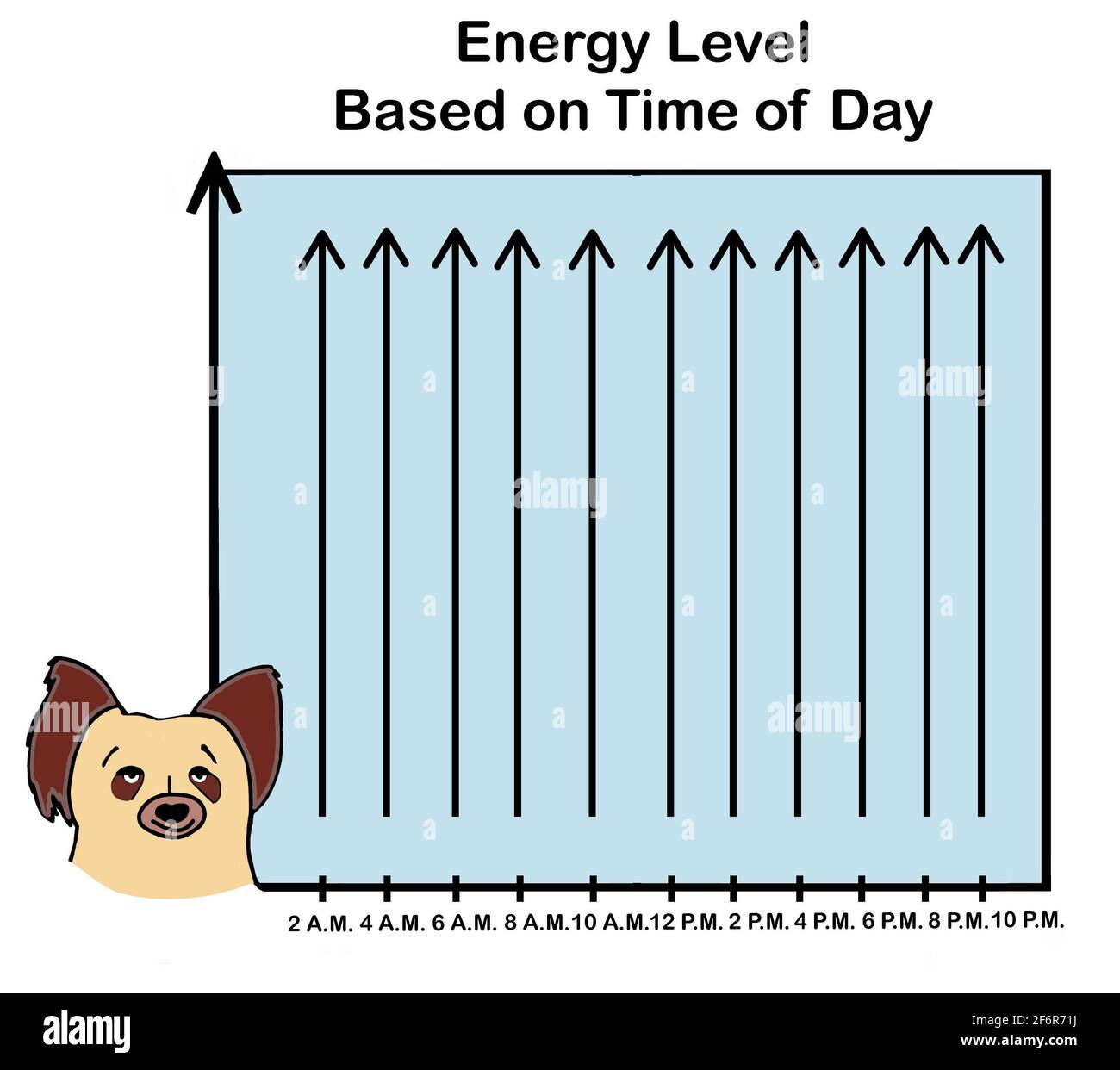 Chart shows that dog is at maximum energy all the time. Stock Photo
