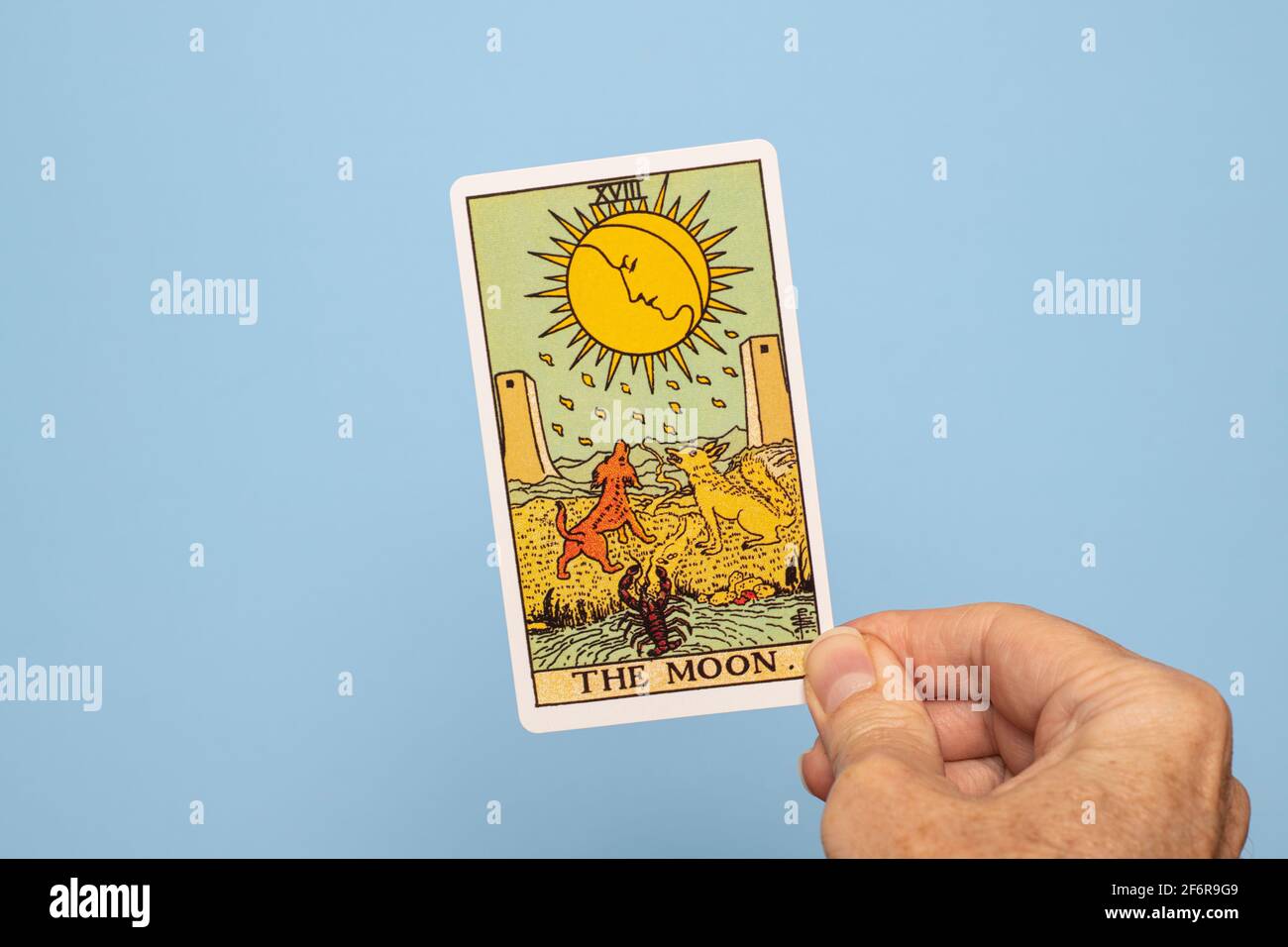 Hand holding The Moon Tarot card Stock Photo