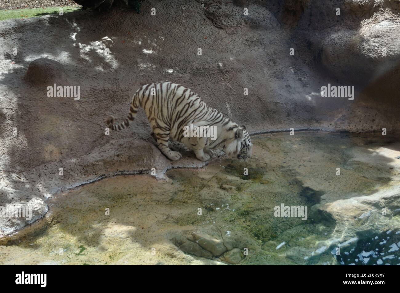 Quench your thirst hires stock photography and images Alamy