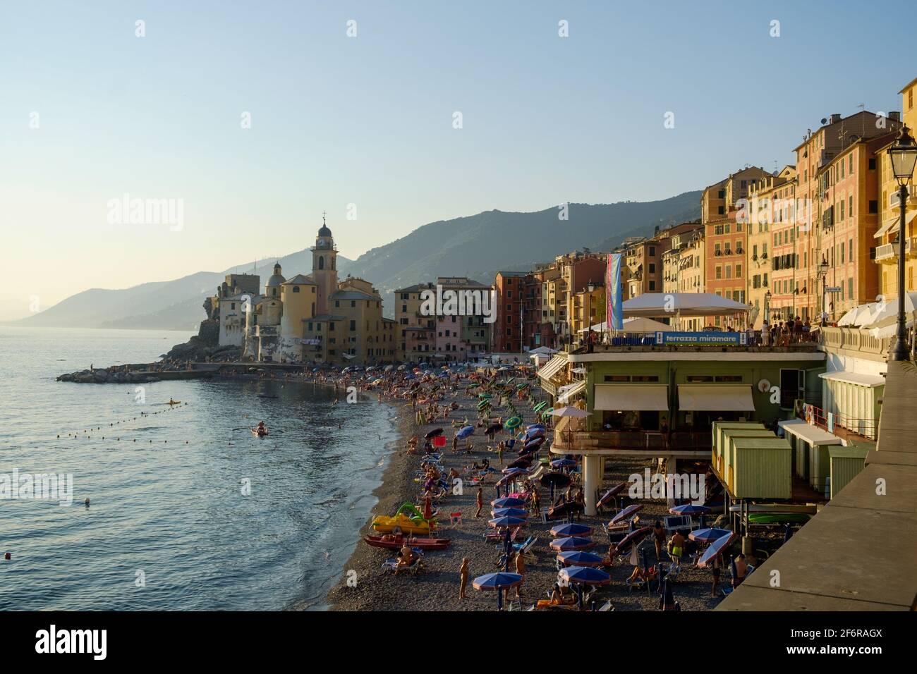 Many people enjoy the beach of Camogli during a sunny summer day .The beach is surrounded by colorful facades and the basilica in the background. Stock Photo