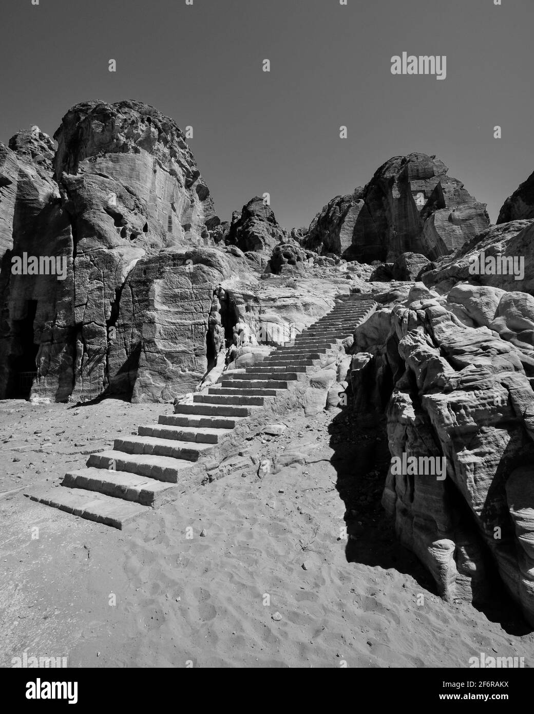 Petra jordan camel view Black and White Stock Photos & Images - Alamy