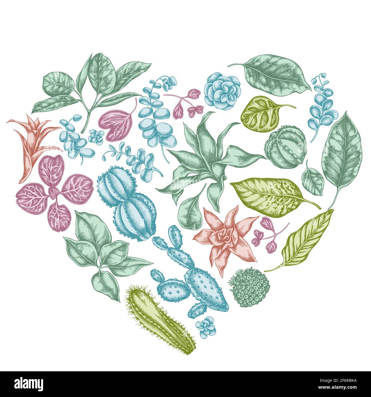 Heart floral design with pastel ficus, iresine, kalanchoe, calathea, guzmania, cactus Stock Vector