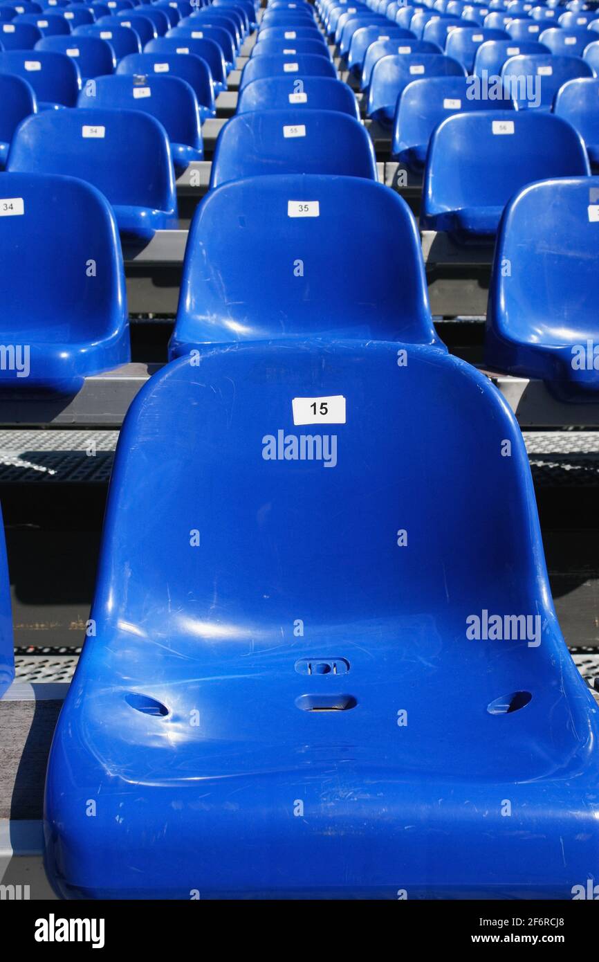 Blue Seats On Stadium Stock Photo