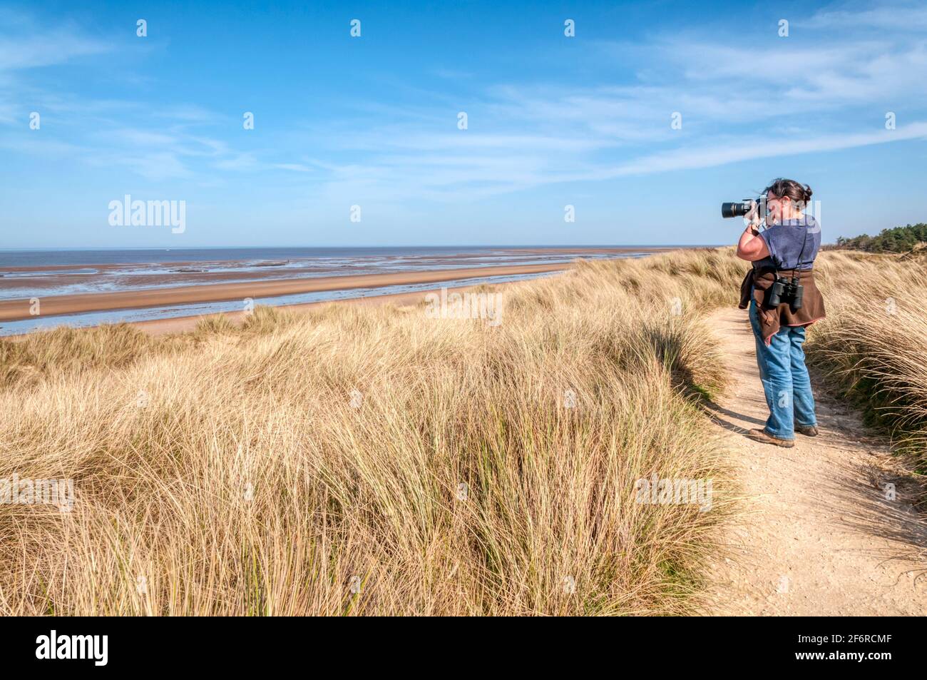 Woman taking photographs on the North Norfolk coast at Holme Dunes nature reserve. Stock Photo