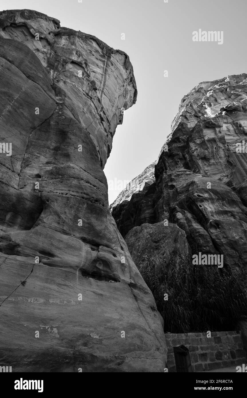 Petra jordan camel view Black and White Stock Photos & Images - Alamy