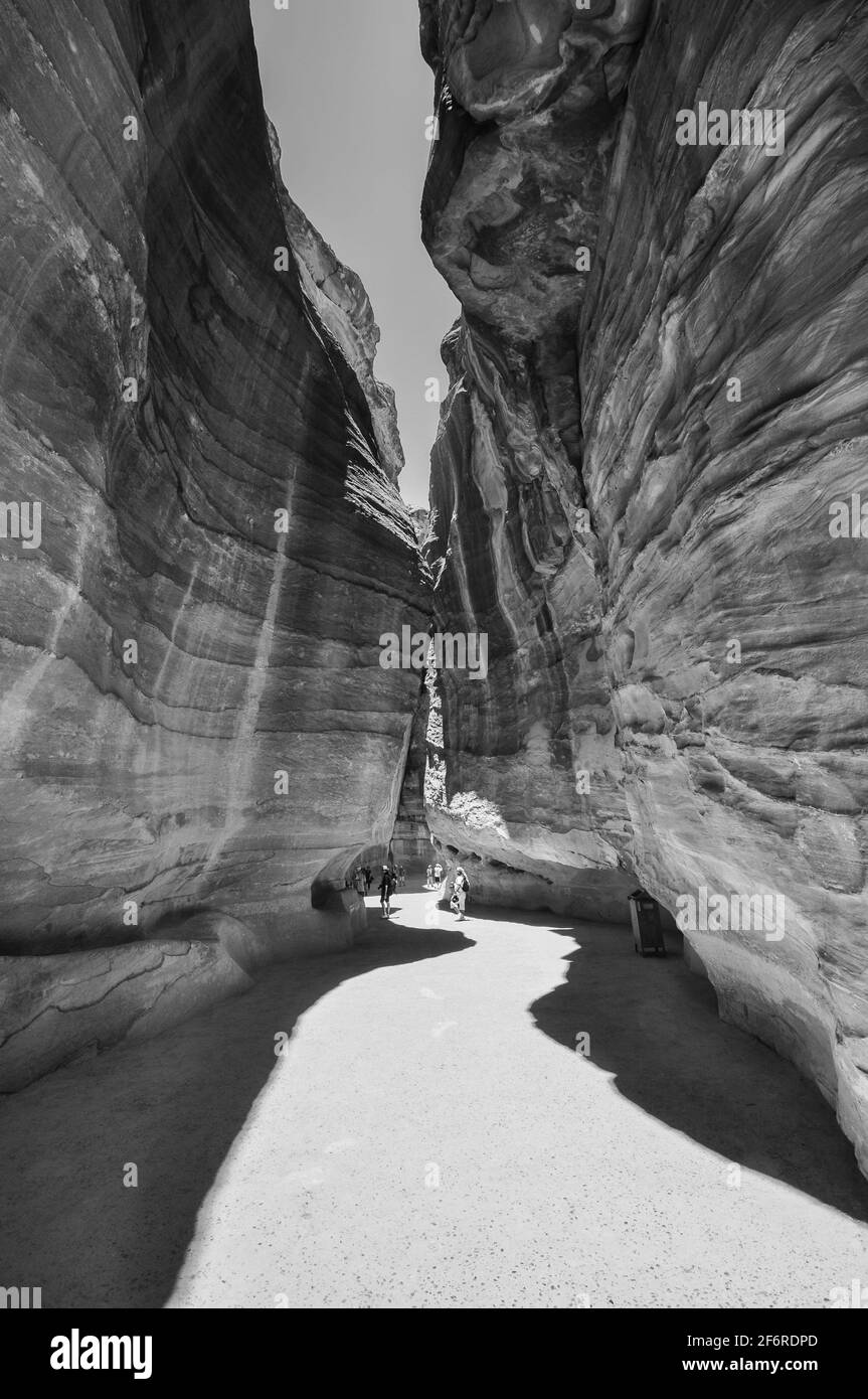 Petra jordan camel view Black and White Stock Photos & Images - Alamy