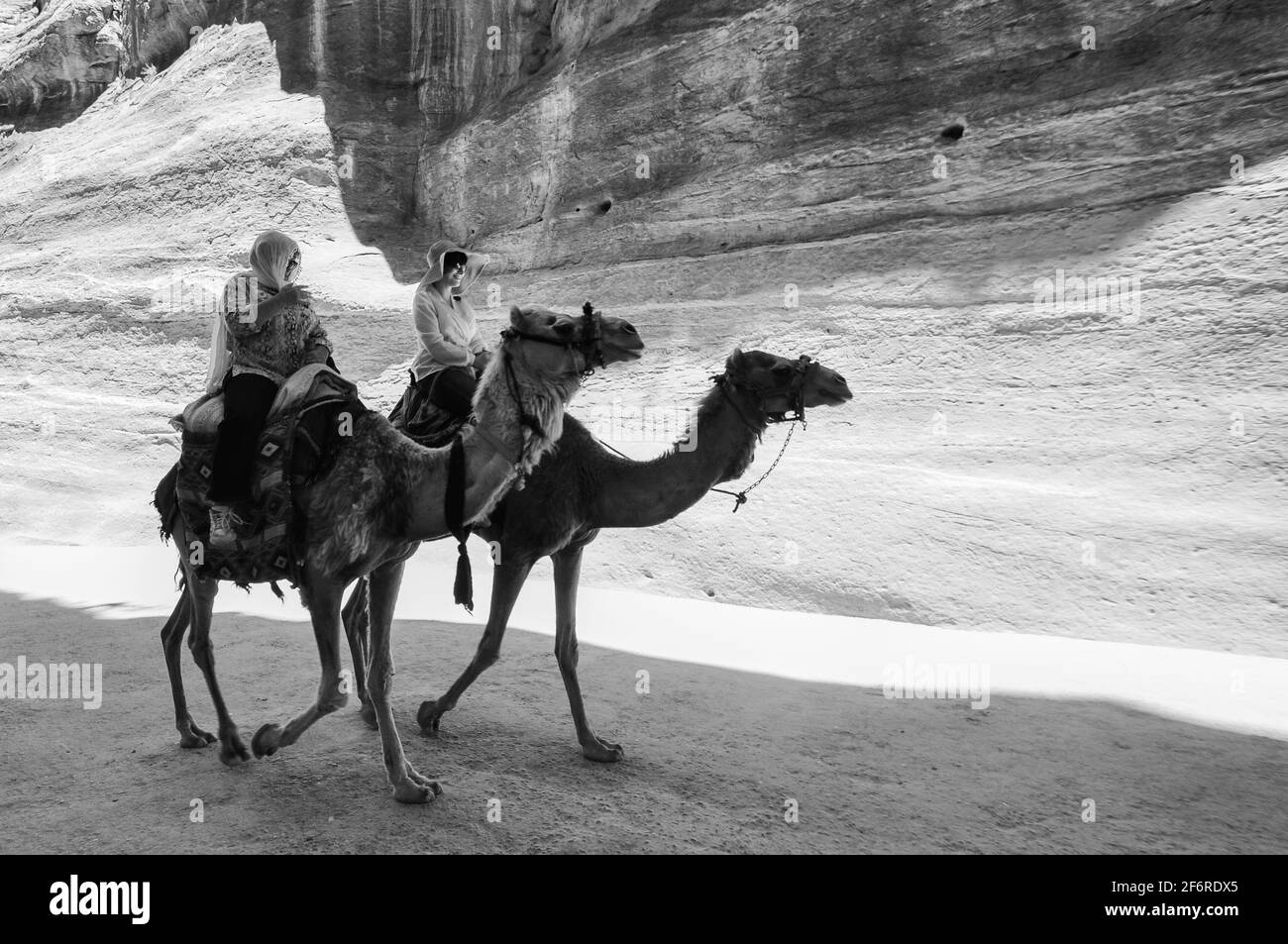 Petra jordan camel view Black and White Stock Photos & Images - Alamy