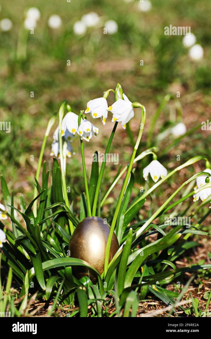 Easter eggs snowflake outdoors Stock Photo