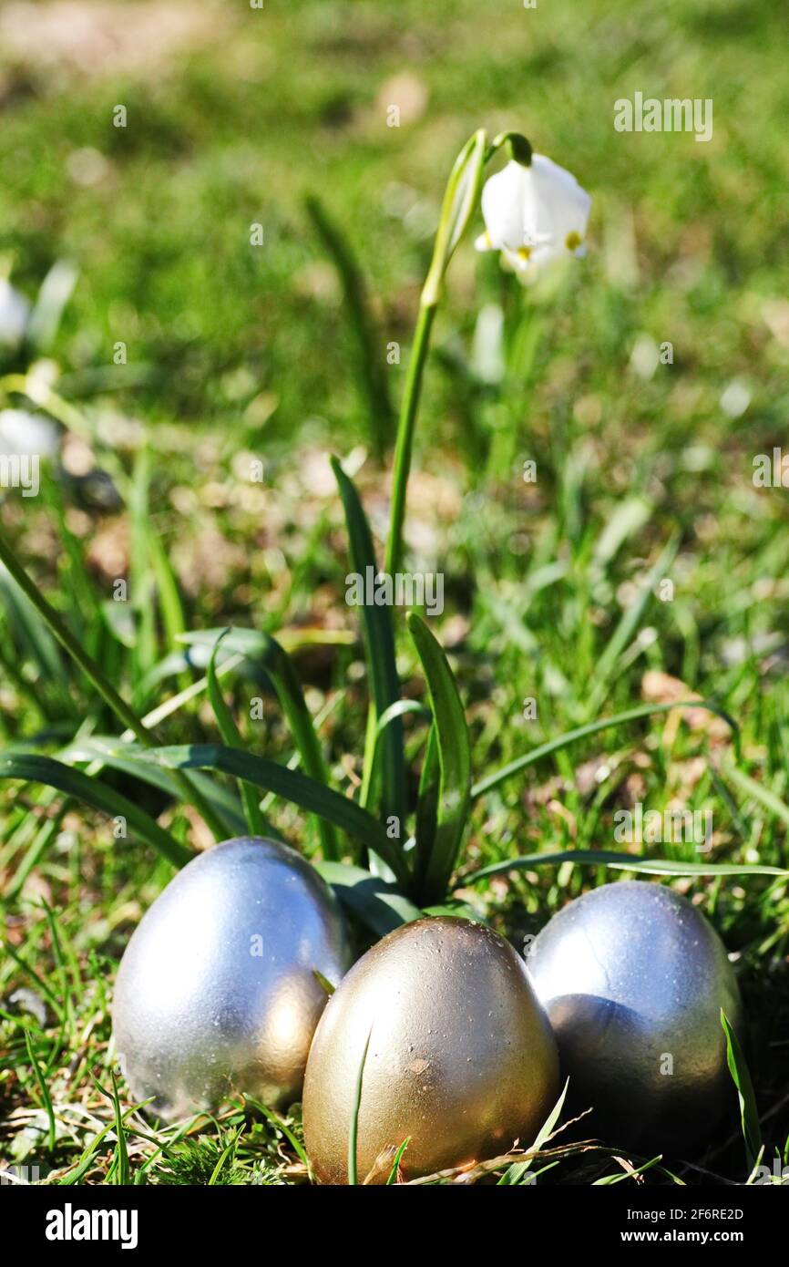 Easter eggs snowflake outdoors Stock Photo