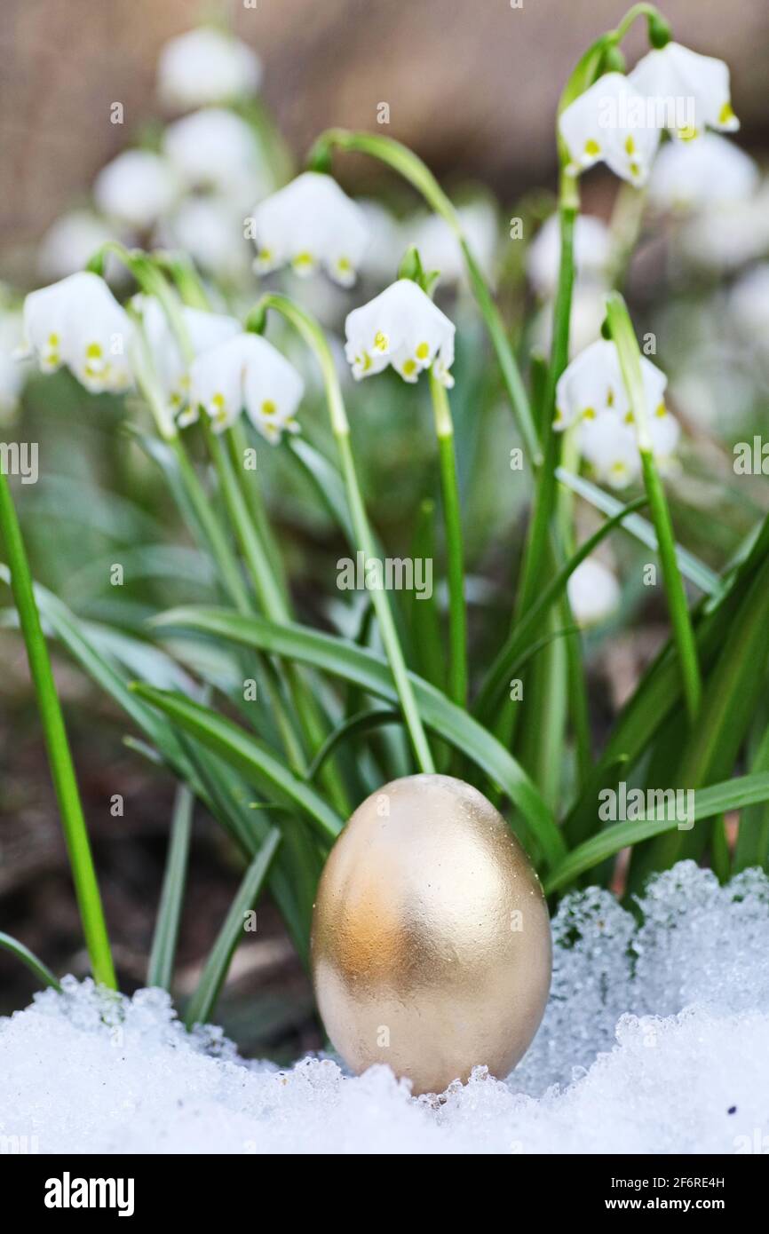 Easter eggs snowflake outdoors Stock Photo
