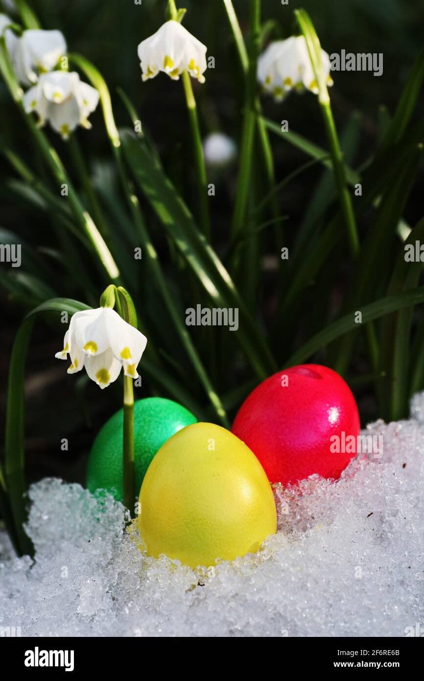 Easter eggs snowflake outdoors Stock Photo