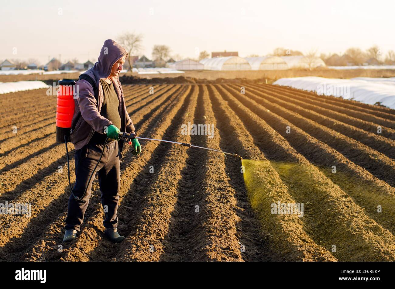 The farmer treats the field from weeds and grass for growing potatoes. Use chemicals in agriculture. Harvest processing. Agriculture and agribusiness. Stock Photo
